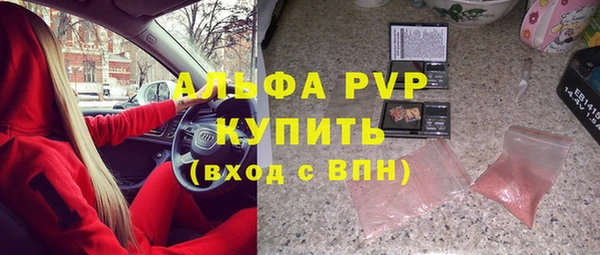 стаф Алзамай